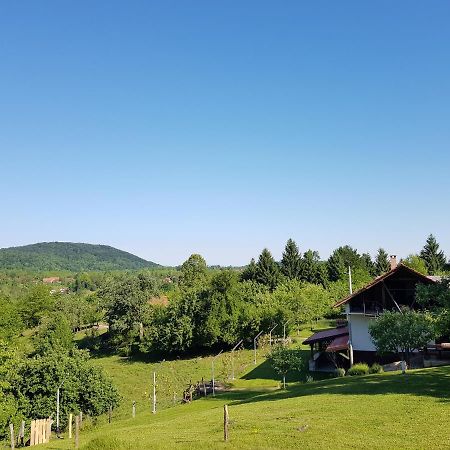 Guest House Pinus Generalski Stol المظهر الخارجي الصورة