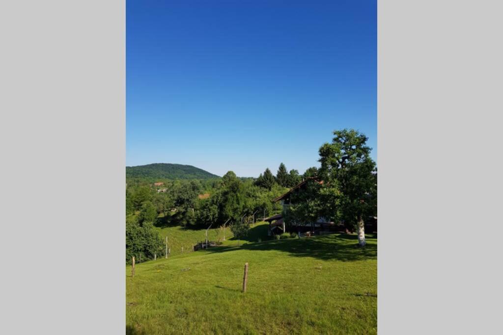 Guest House Pinus Generalski Stol المظهر الخارجي الصورة