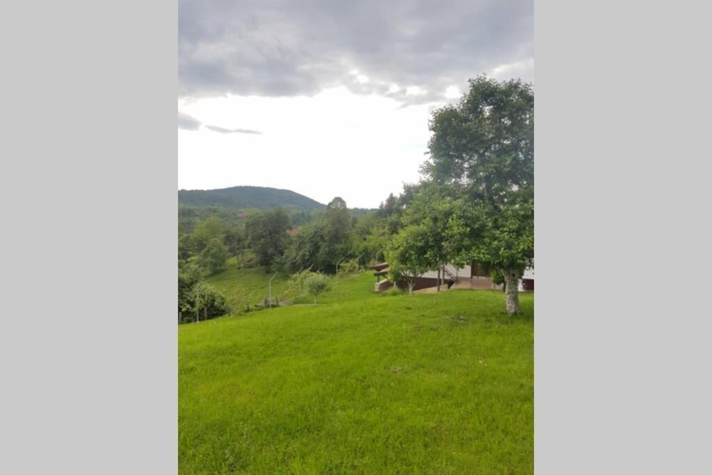 Guest House Pinus Generalski Stol المظهر الخارجي الصورة