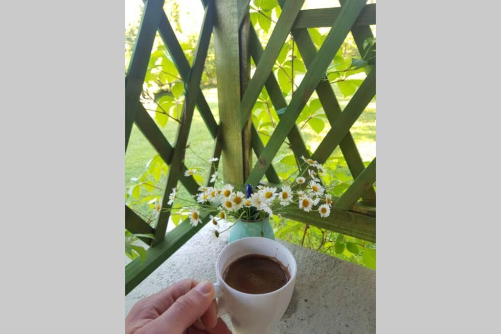 Guest House Pinus Generalski Stol المظهر الخارجي الصورة
