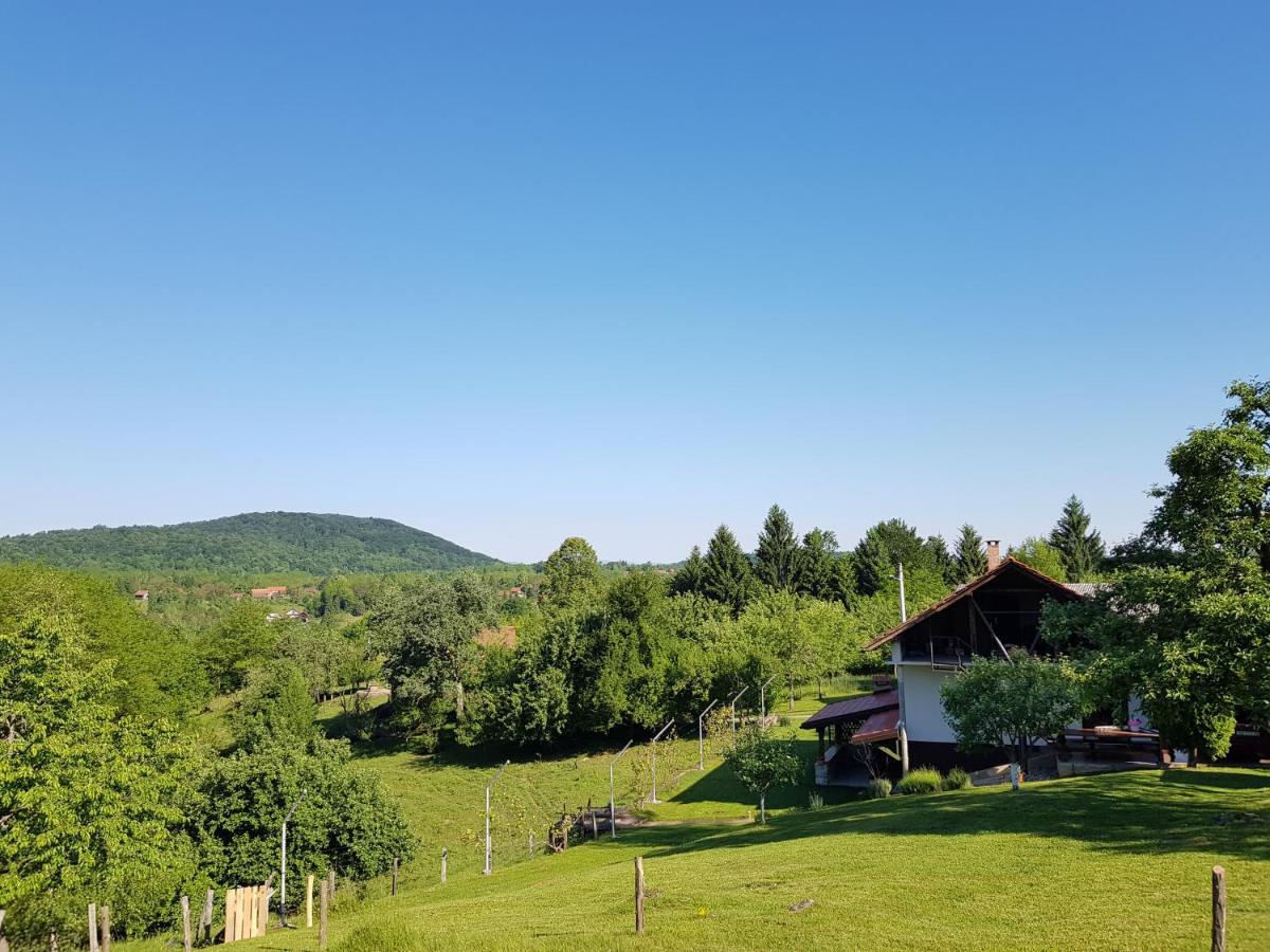 Guest House Pinus Generalski Stol المظهر الخارجي الصورة